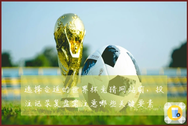 选择合适的世界杯竞猜网站前，投注记录复盘需注意哪些关键要素