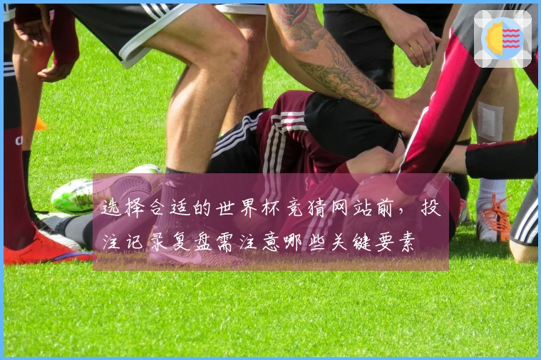 选择合适的世界杯竞猜网站前，投注记录复盘需注意哪些关键要素