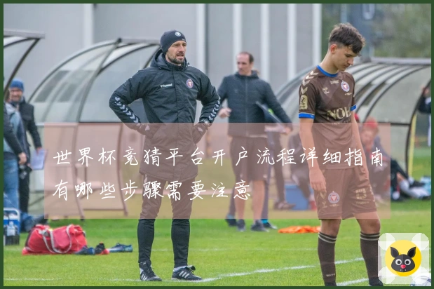 世界杯竞猜平台开户流程详细指南有哪些步骤需要注意